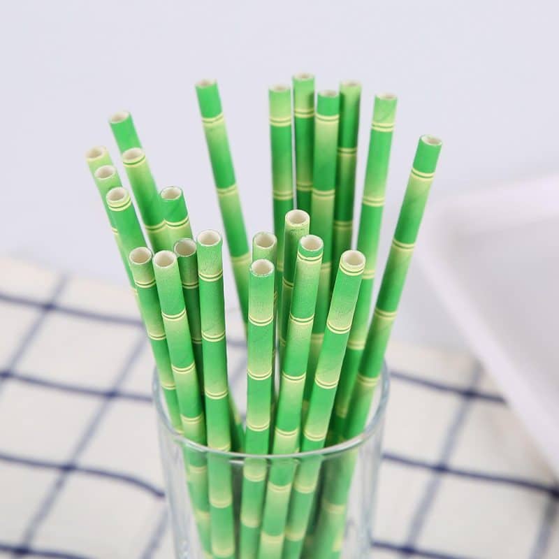 Custom Biodegradable Bamboo Paper Straw
