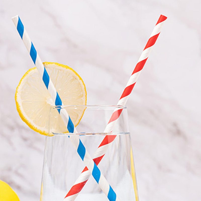 Custom Paper Straw - 4