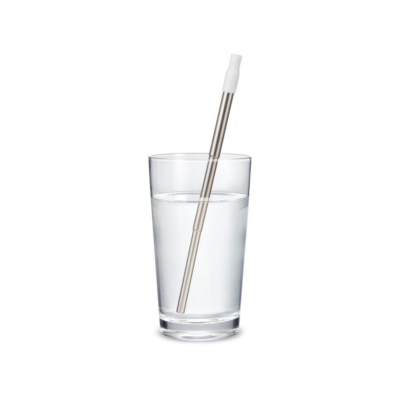 Custom Festival Telescopic Reusable Drinking Straw Kit - 3