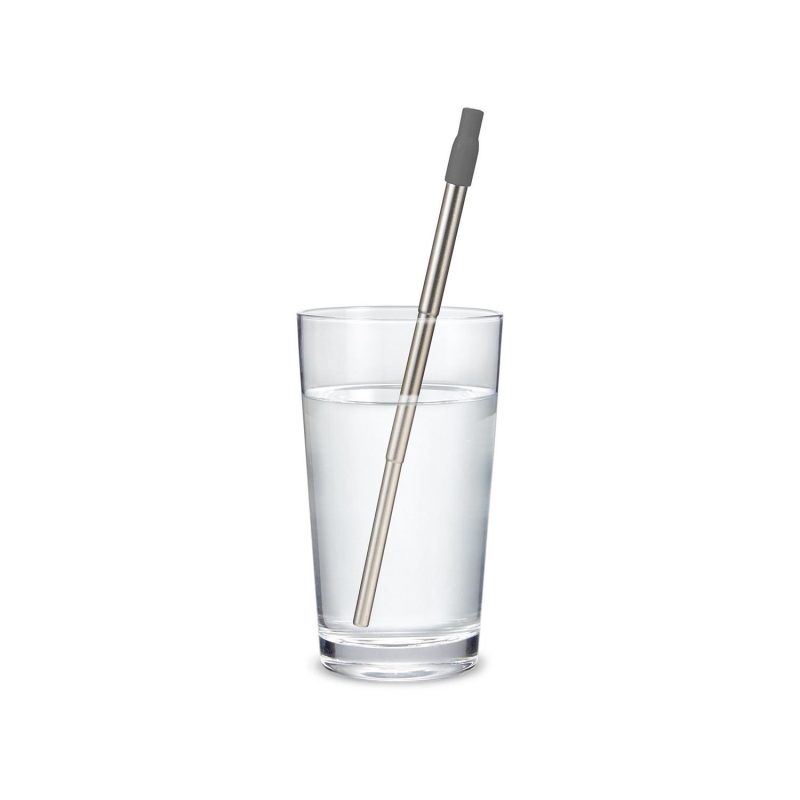 Custom Festival Telescopic Reusable Drinking Straw Kit - 9