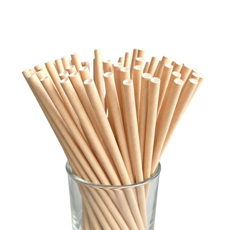 Custom Recyclable Paper Straw - 1